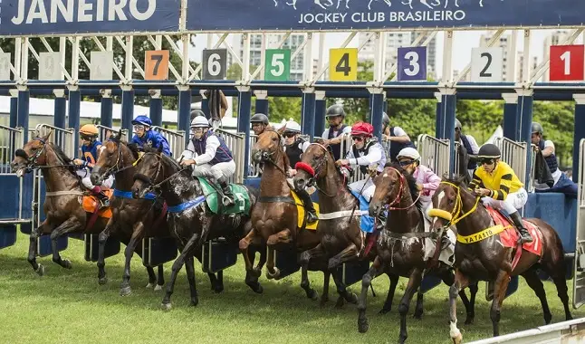 Jockey Clube Brasileiro  Rio de janeiro, Rio, Horse racing